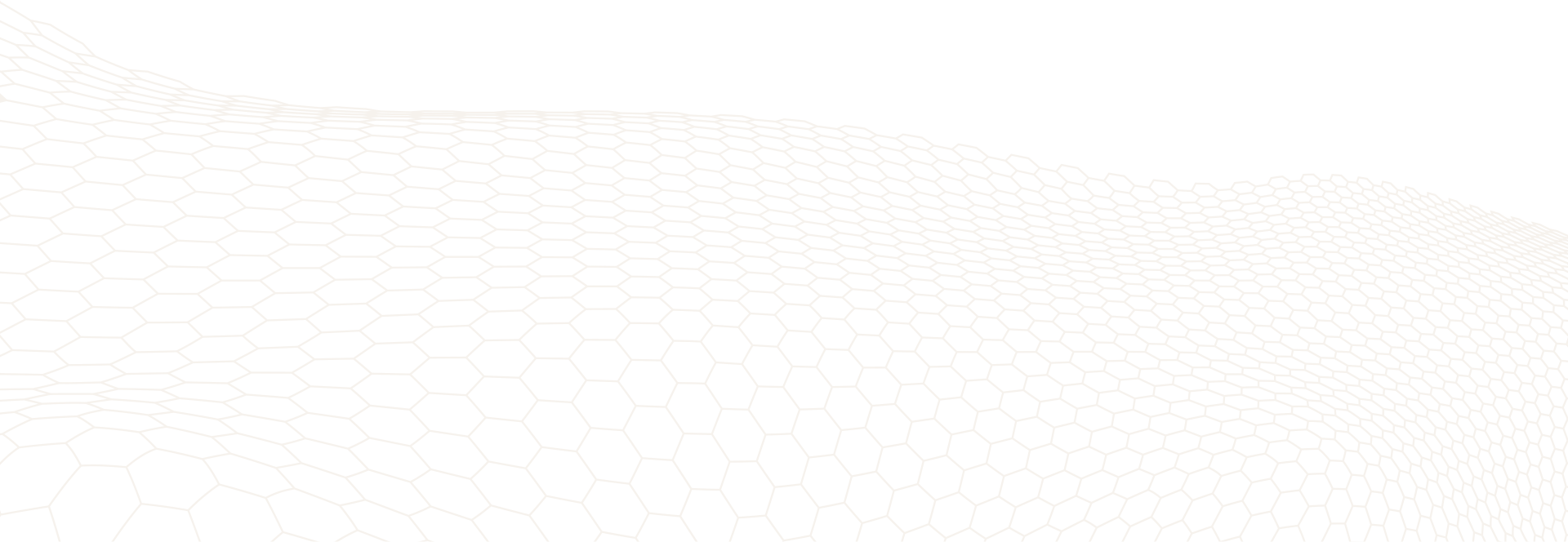 Vignette Bottom Left Overlay